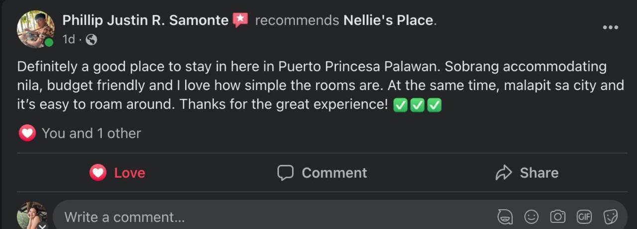 Nellie'S Place Puerto Princesa Buitenkant foto